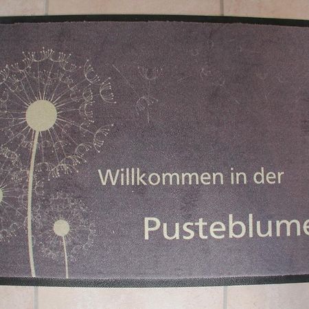 Ferienwohnung Pusteblume Cochem Zimmer foto
